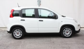 FIAT PANDA 1.0 HYBRID 70 CV EASY full