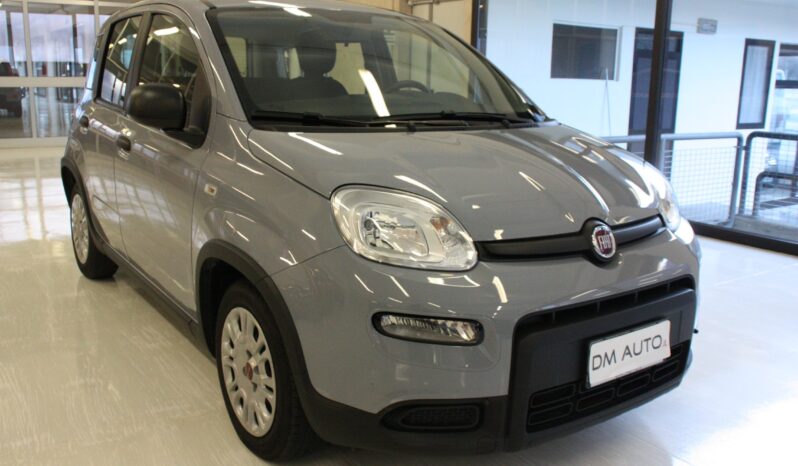FIAT PANDA 1.0 FIREFLY EASY