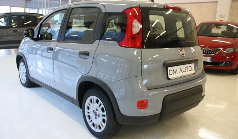 FIAT PANDA 1.0 FIREFLY EASY full